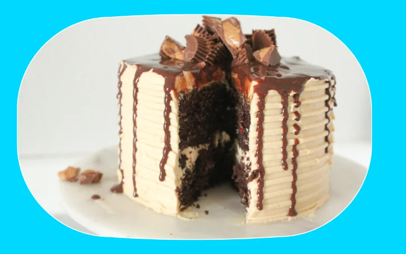 Peanut Butter Chocolate Cake Cheesecake Recipe