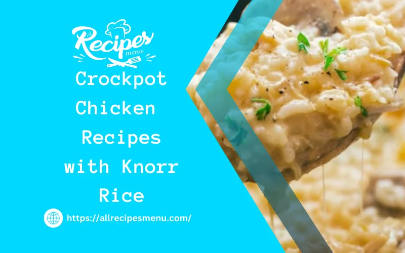 Crockpot Chicken Recipes with Knorr Rice
