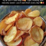 air fryer apple chips