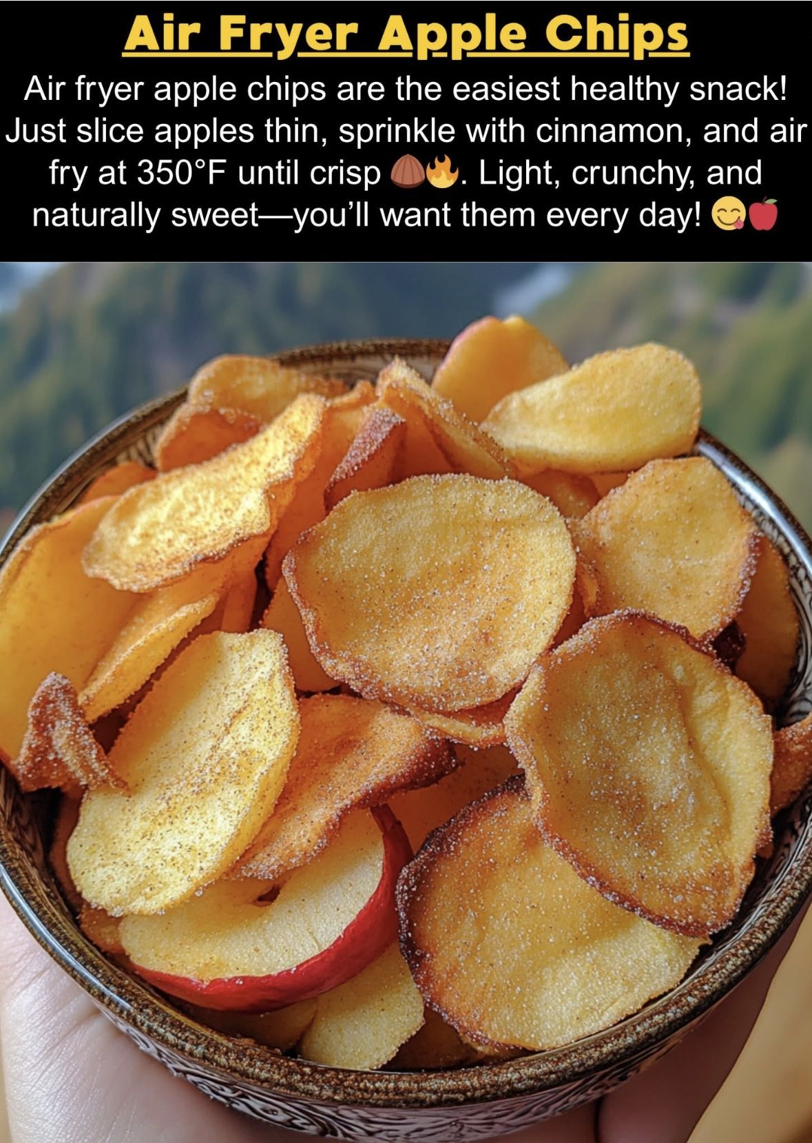 Air Fryer Apple Chips