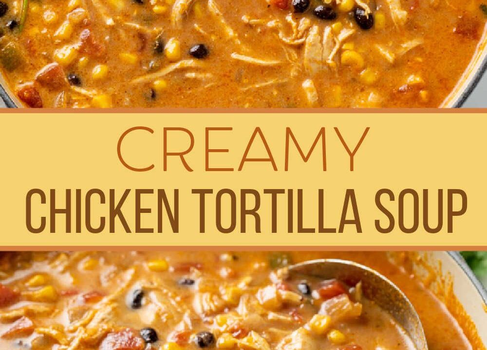 creamy chicken tortilla soup recipe